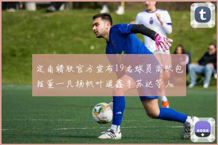 定南赣联官方宣布19名球员离队包括董一凡杨帆叶道鑫李苏达等人